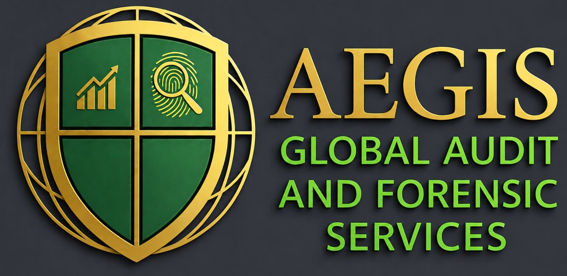Aegis Global Audit & Forensic Services